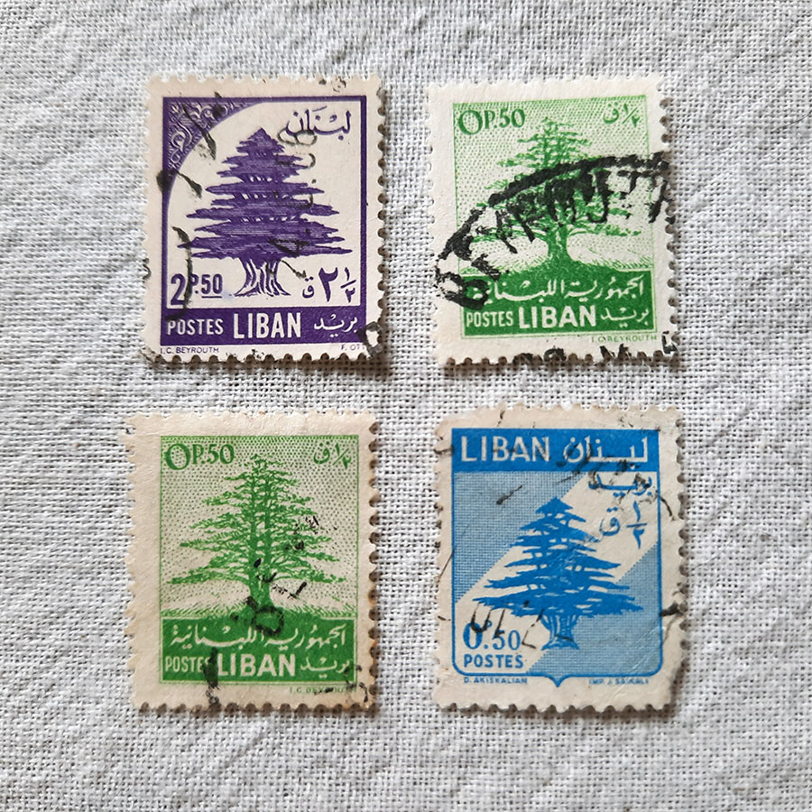 Digging to the roots of the Cedars of Lebanon