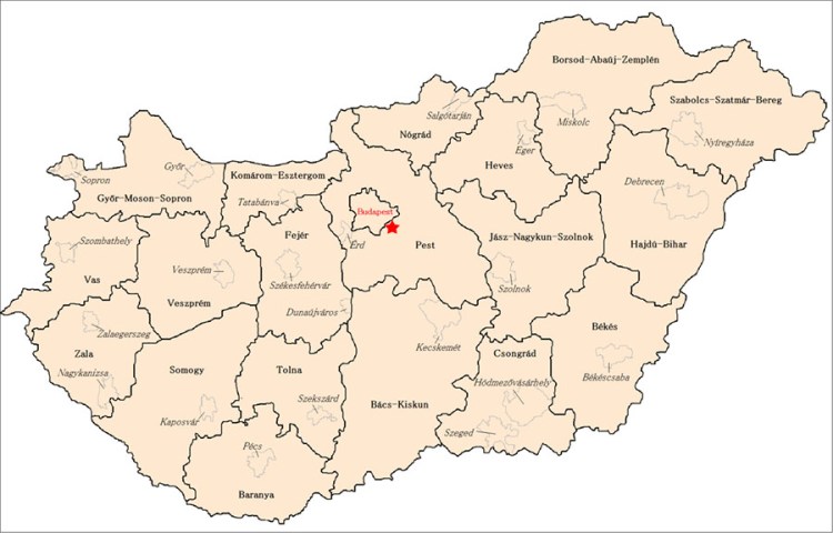 Hungary is divided into 19 counties, along with the capital city of Budapest.